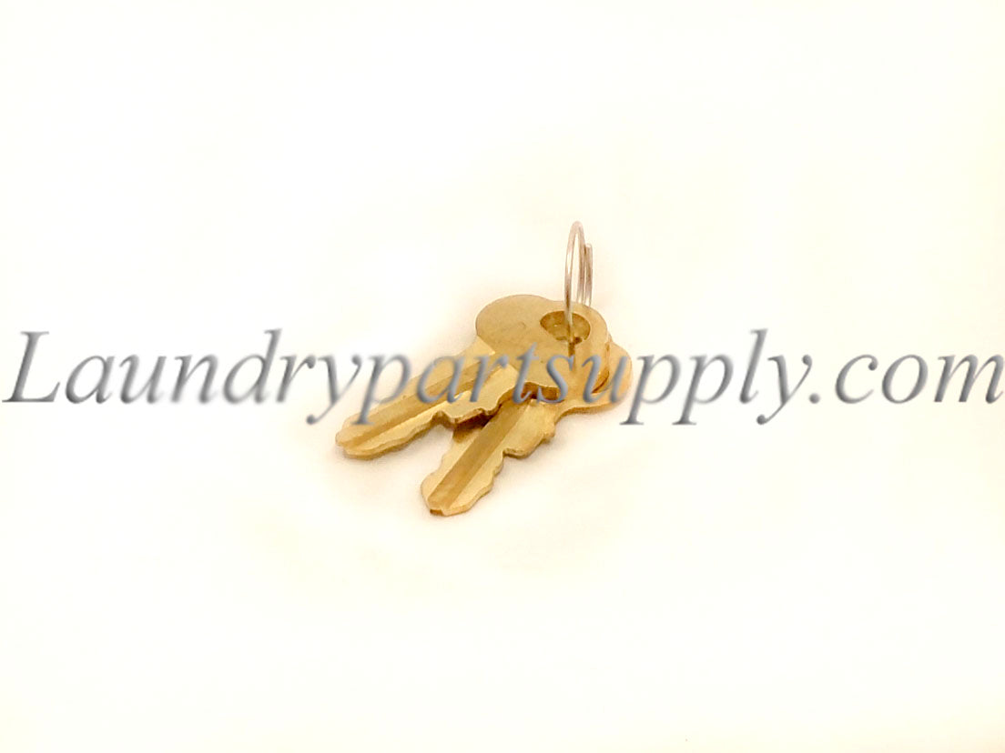 PROGRAM KEY- PMK-1,SET OF 2.