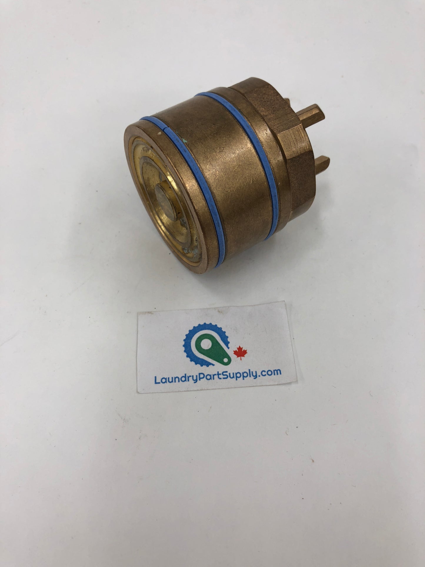 PISTON ASSEMBLY