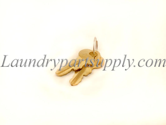 PROGRAM KEY- PMK-1,SET OF 2.